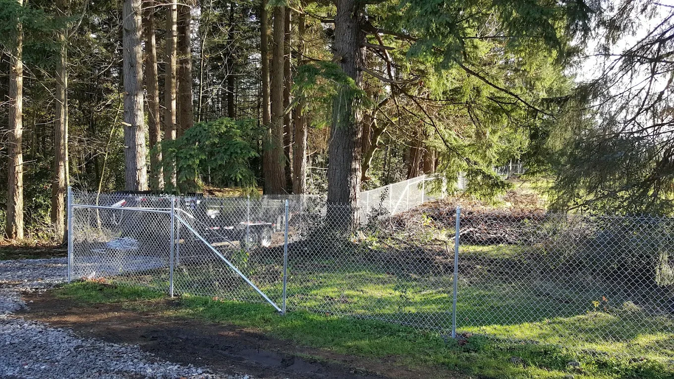 Chain-link fence enclosing wooded property