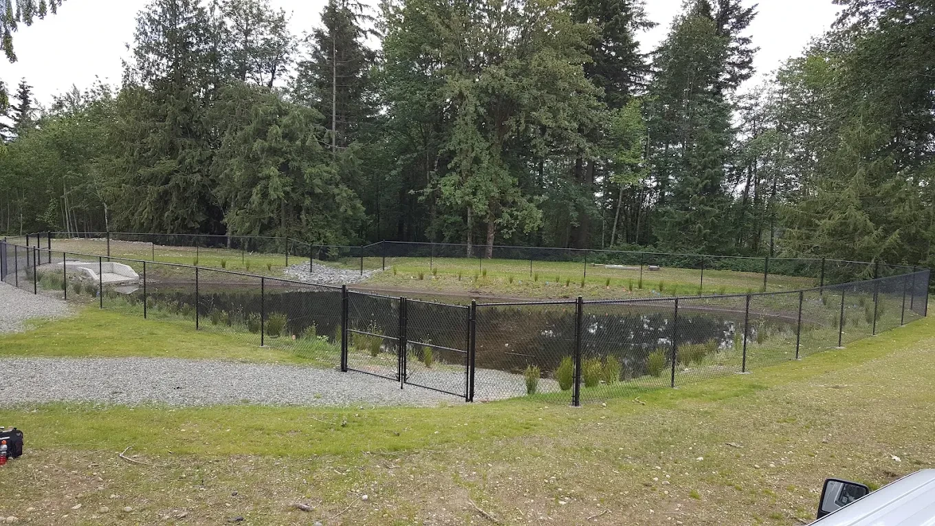Chain-link fence surrounding pond with forest in background
