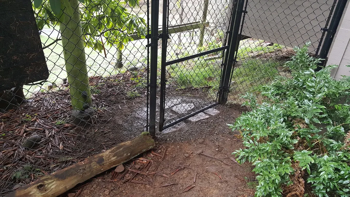 Residential Chain Link — Covington